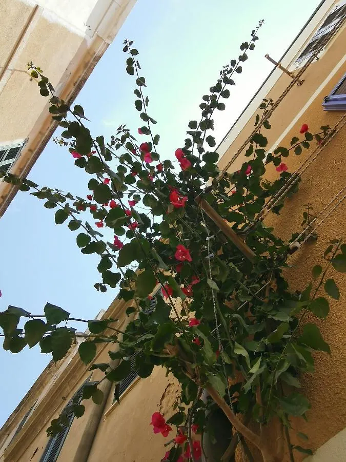 Vicolo Fiorito Apartment Alghero