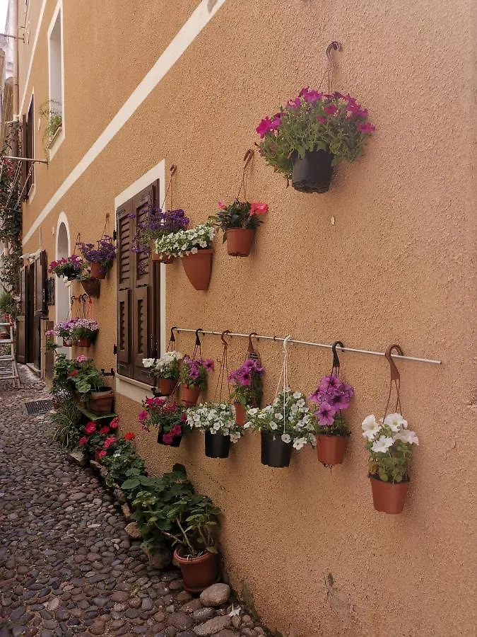 Vicolo Fiorito Apartment Alghero