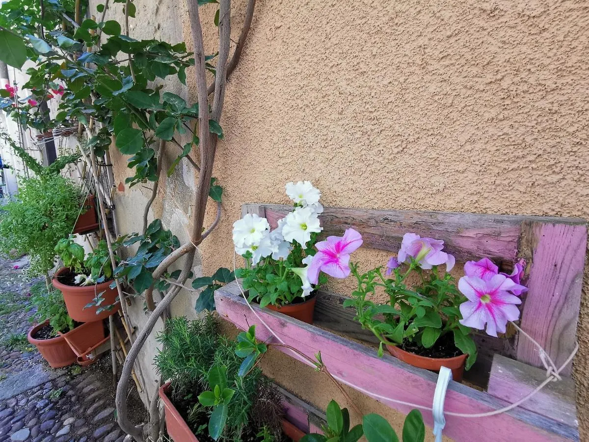 Vicolo Fiorito Apartment Alghero