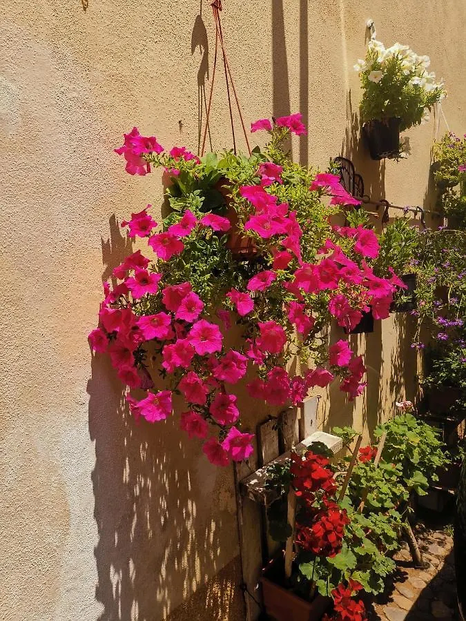 Vicolo Fiorito Apartment Alghero Italy
