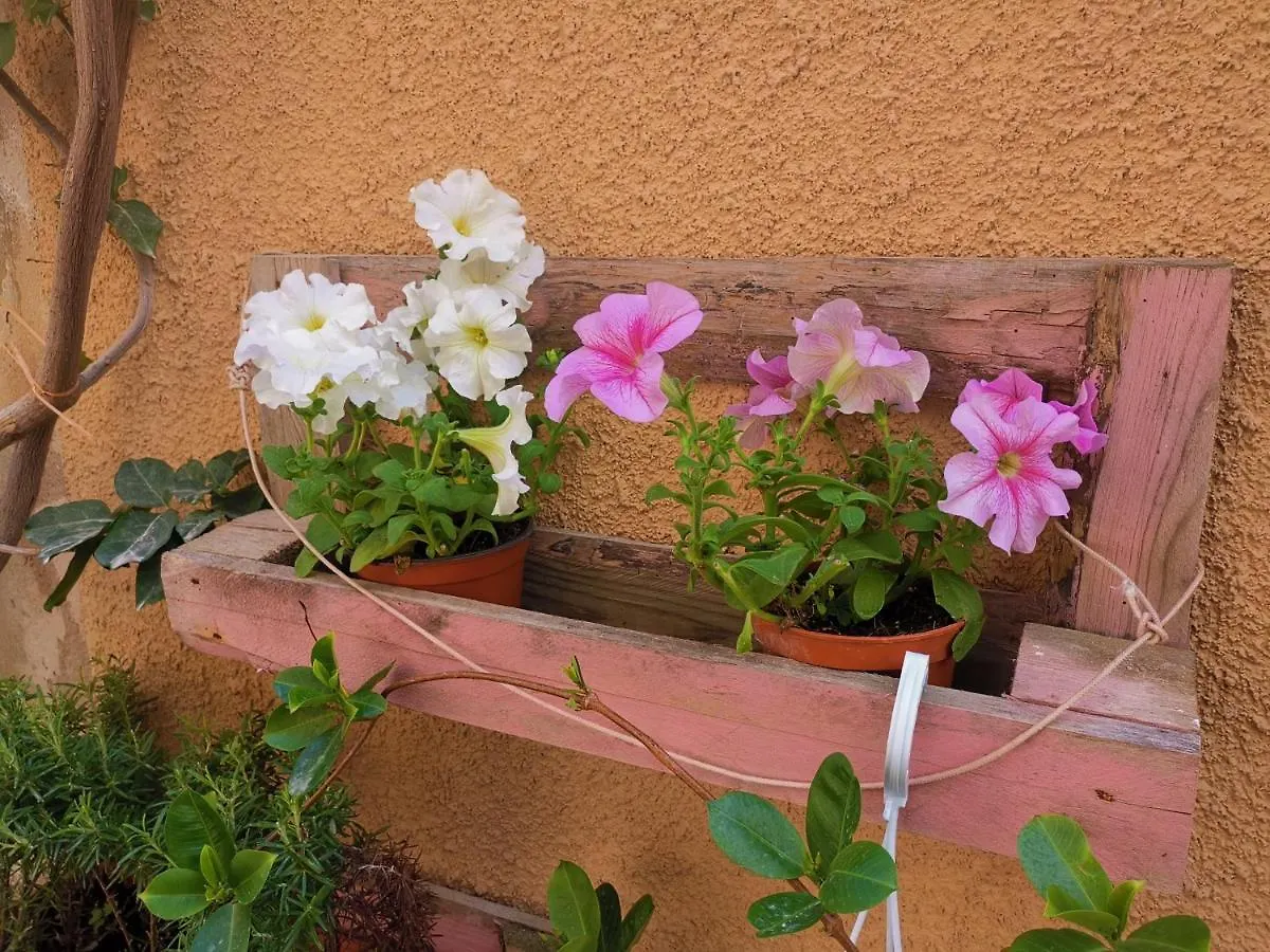 Vicolo Fiorito Apartment Alghero 0*,  Italy